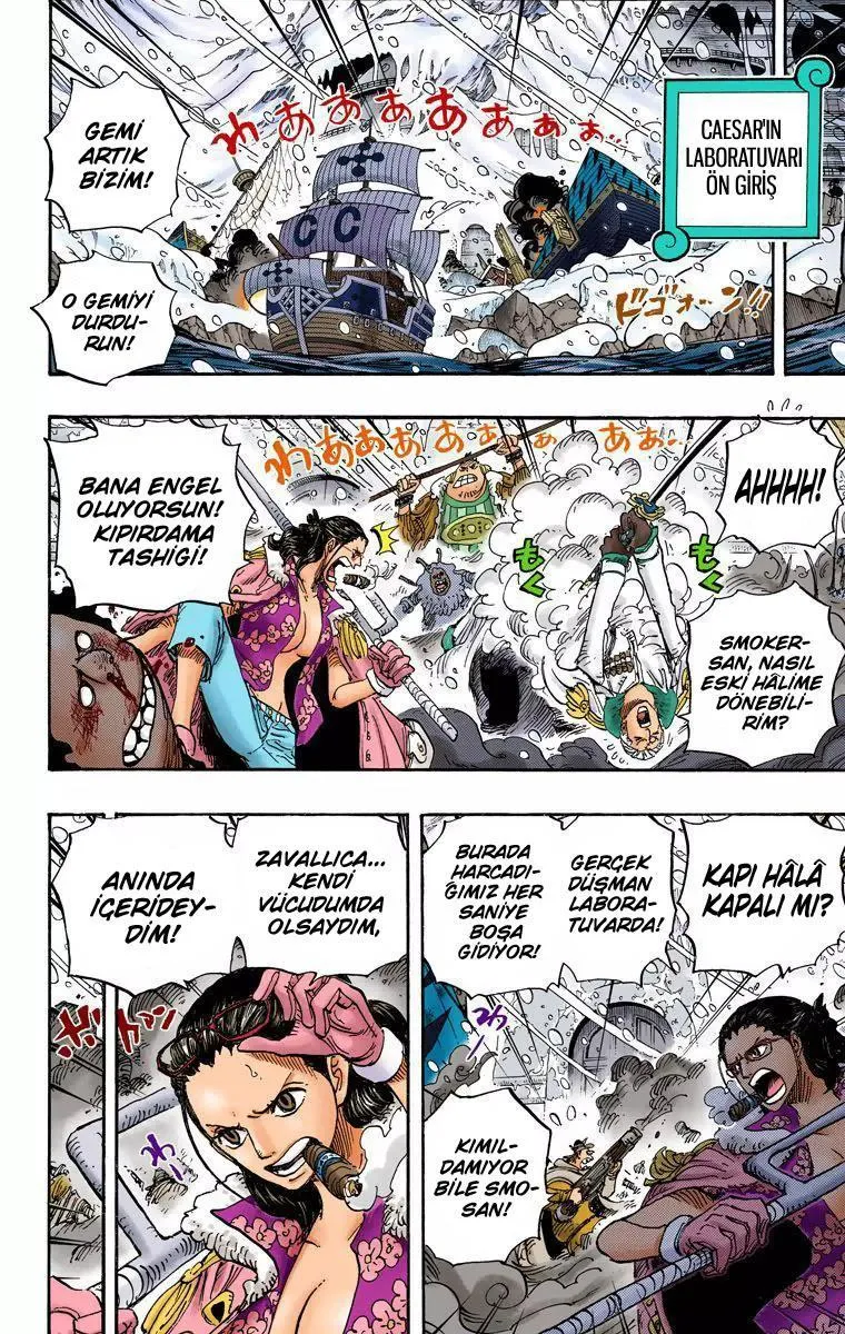 One Piece [Renkli] - Sayfa 15