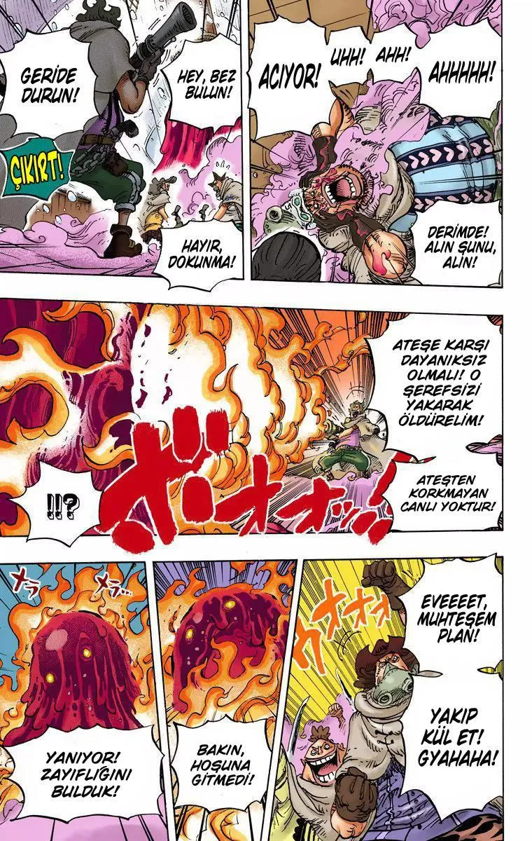 One Piece [Renkli] - Sayfa 12