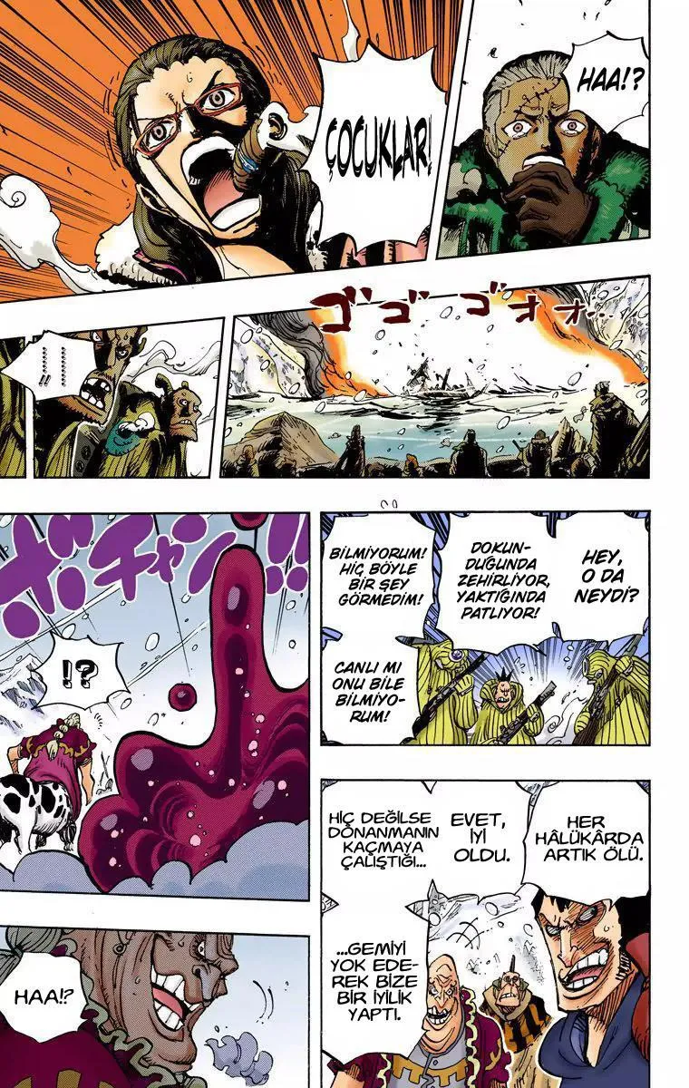 One Piece [Renkli] - Sayfa 14