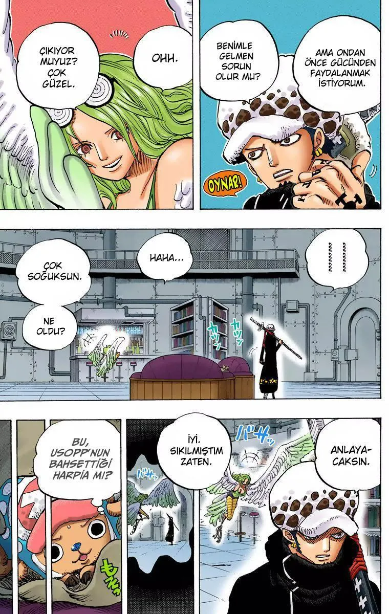 One Piece [Renkli] - Sayfa 6