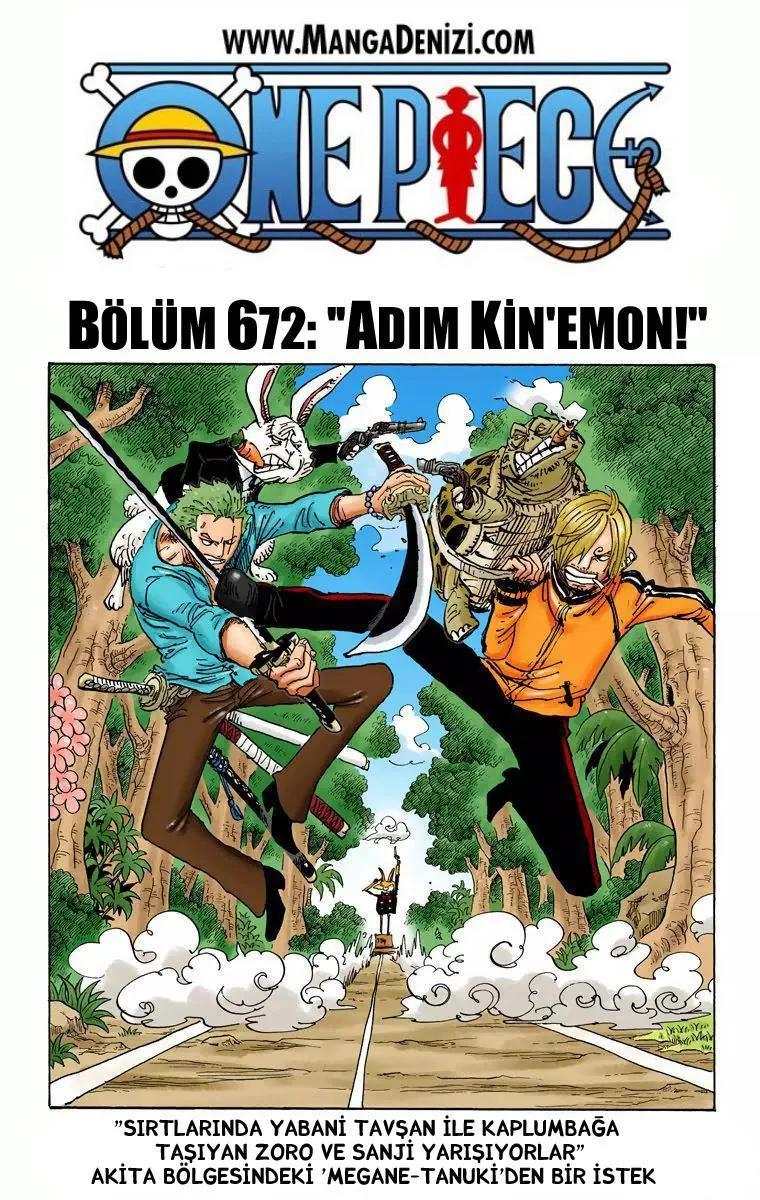 One Piece [Renkli] - Sayfa 2