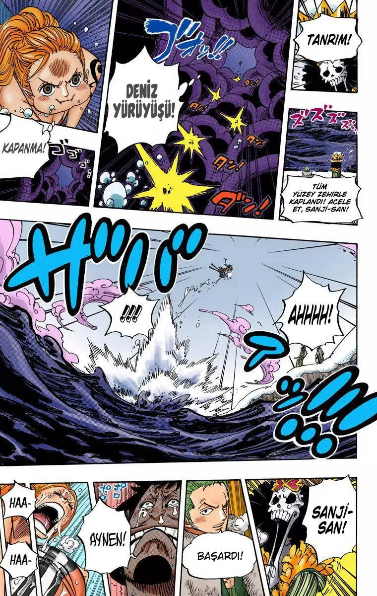 One Piece [Renkli] - Sayfa 14