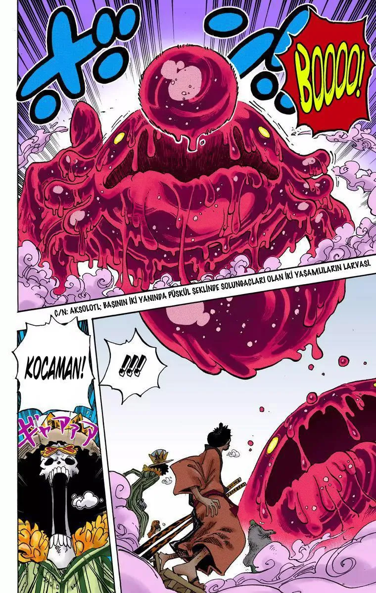 One Piece [Renkli] - Sayfa 11