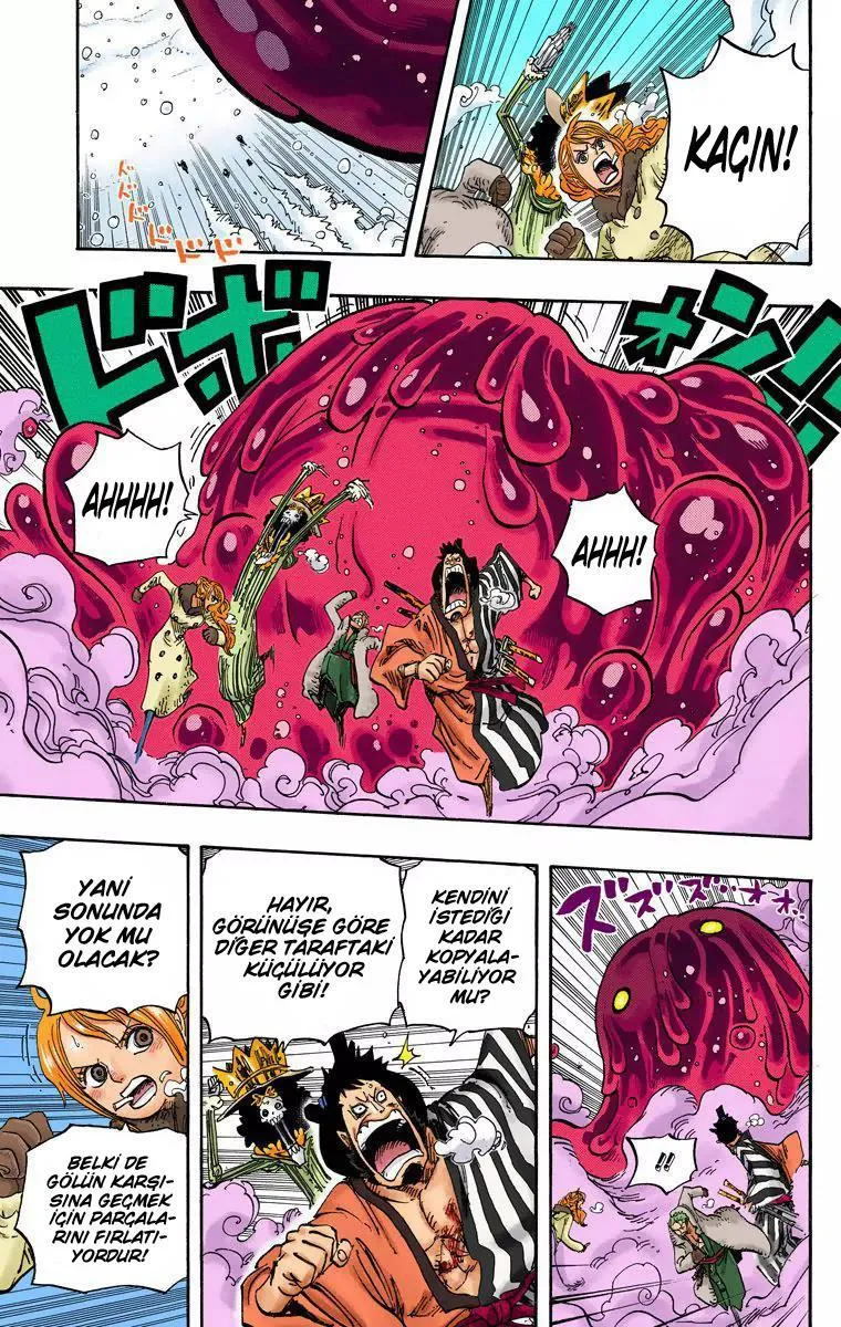 One Piece [Renkli] - Sayfa 12