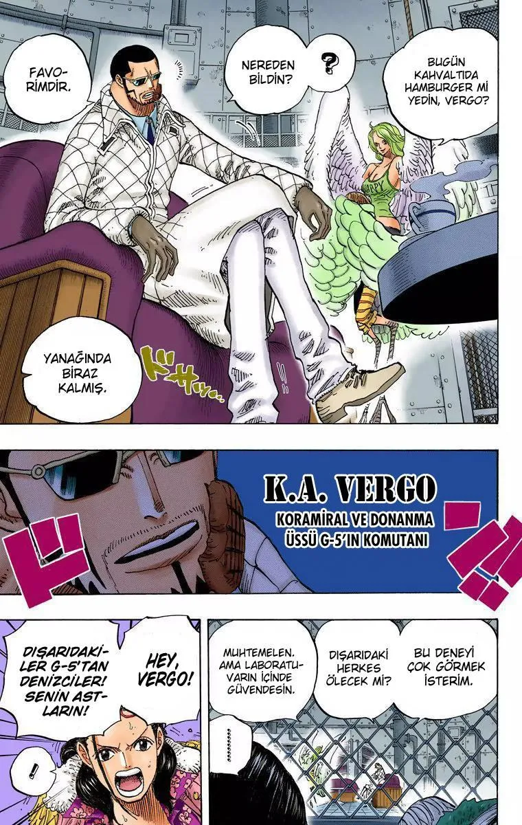 One Piece [Renkli] - Sayfa 16