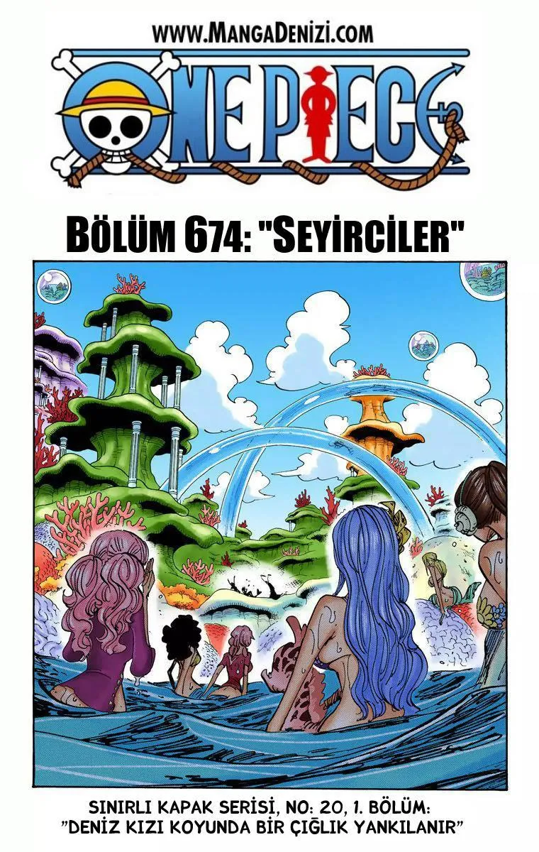 One Piece [Renkli] - Sayfa 2