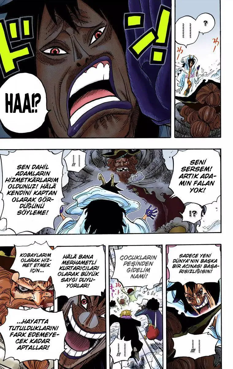 One Piece [Renkli] - Sayfa 14