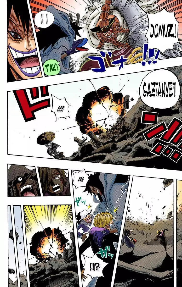 One Piece [Renkli] - Sayfa 15