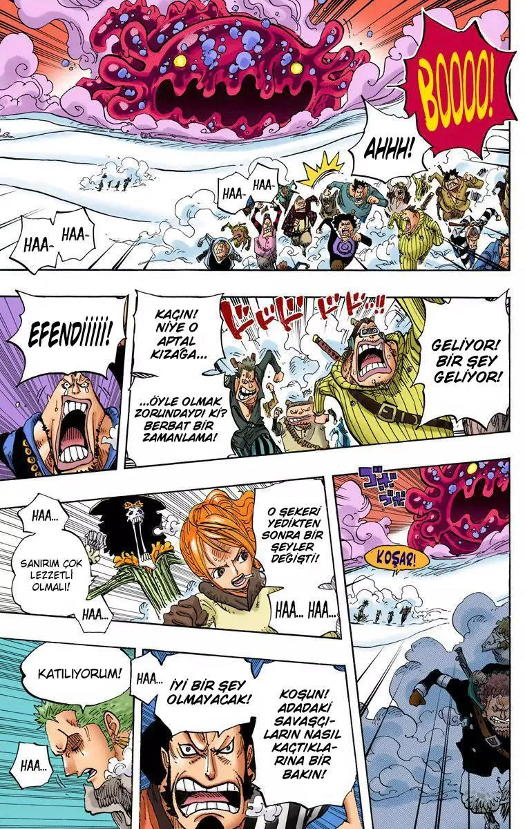 One Piece [Renkli] - Sayfa 5