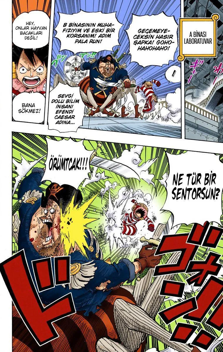 One Piece [Renkli] - Sayfa 8