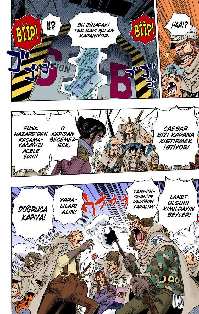 One Piece [Renkli] - Sayfa 14