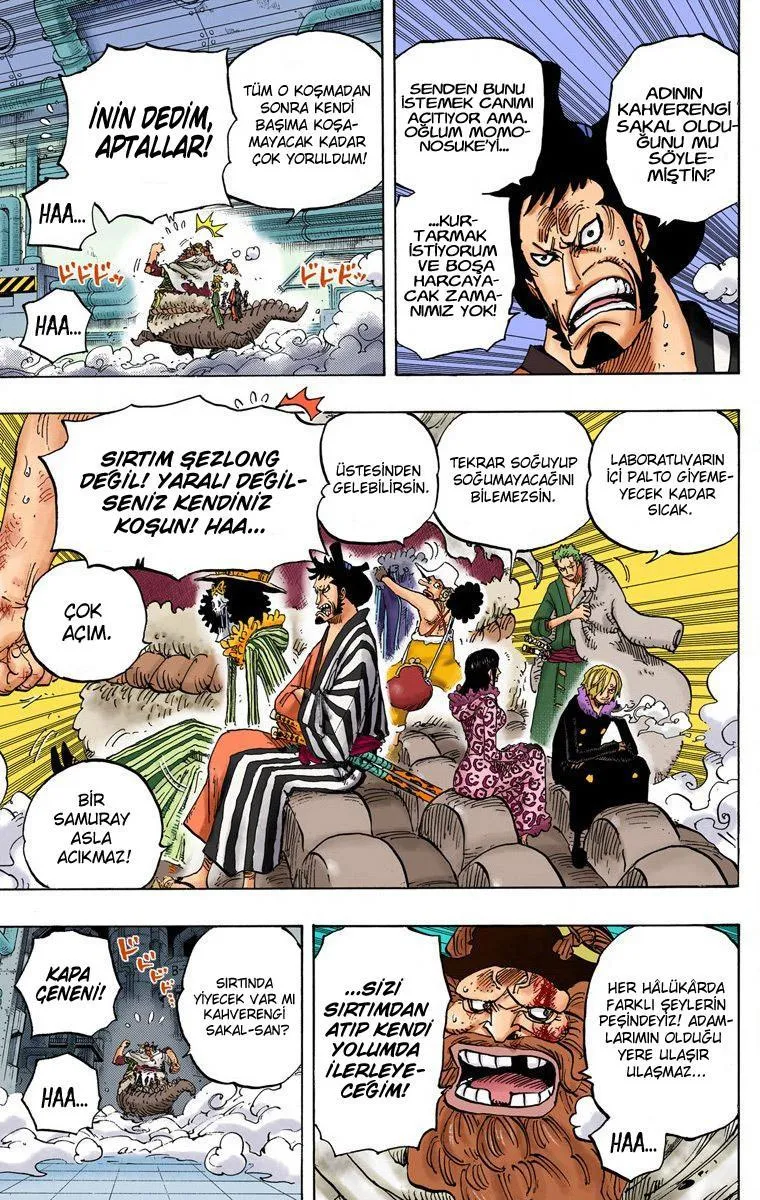 One Piece [Renkli] - Sayfa 4