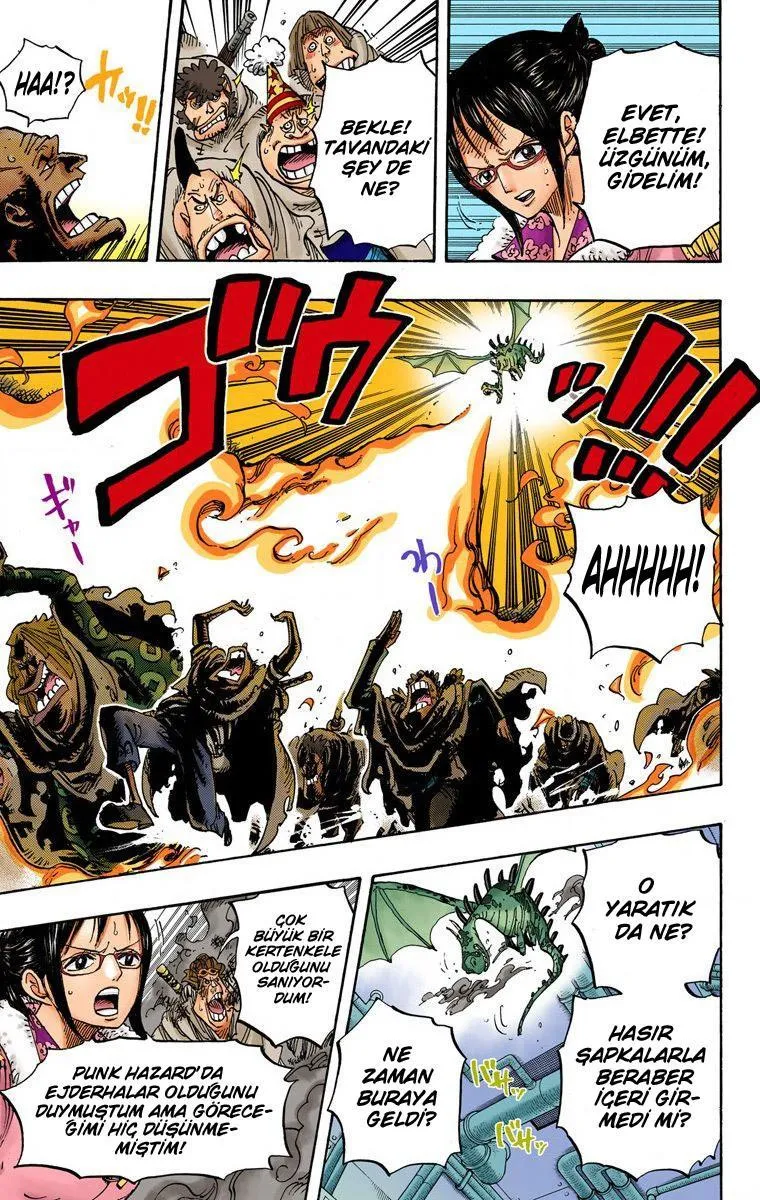 One Piece [Renkli] - Sayfa 6