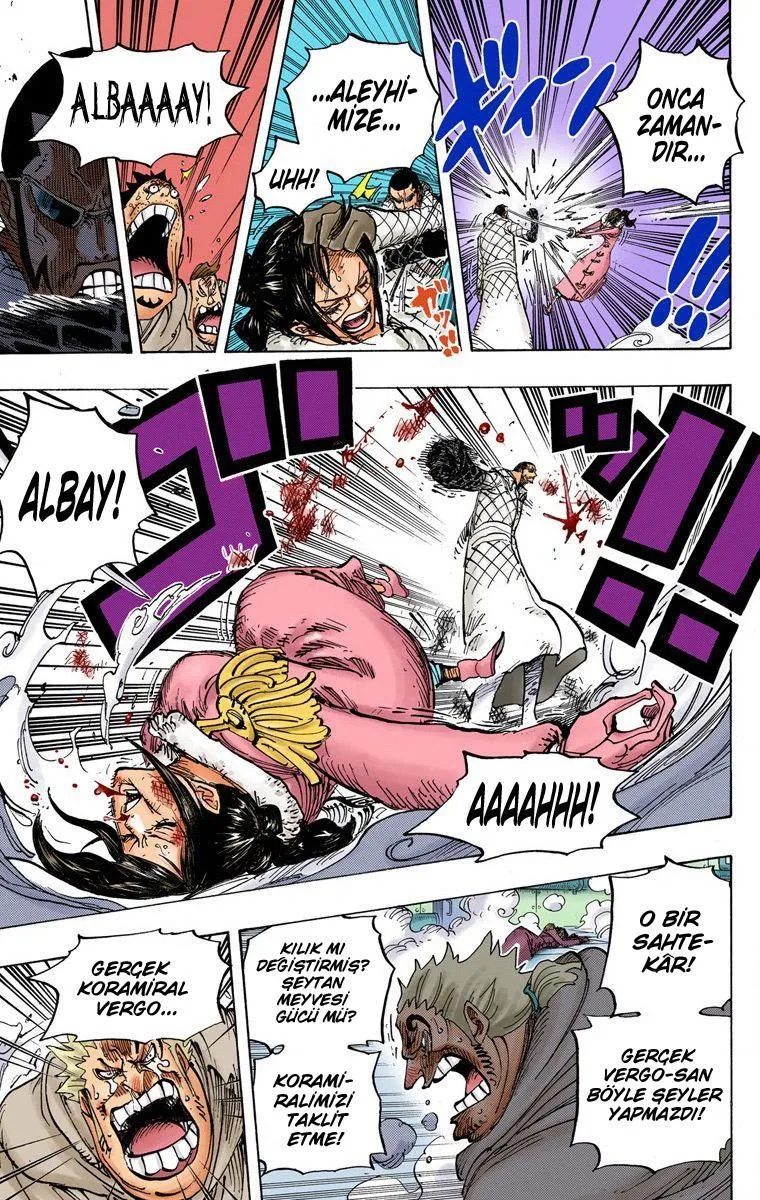 One Piece [Renkli] - Sayfa 14