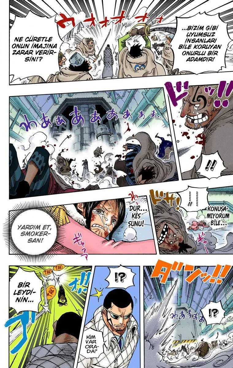 One Piece [Renkli] - Sayfa 15