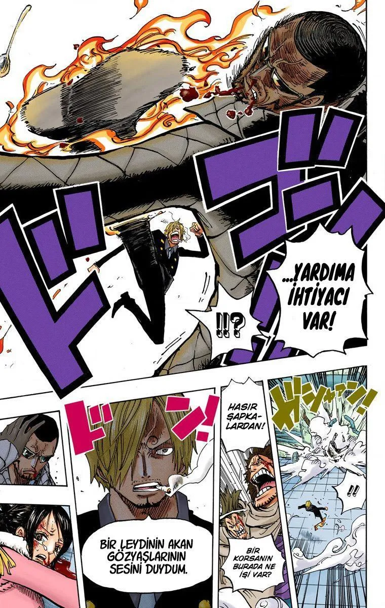 One Piece [Renkli] - Sayfa 16