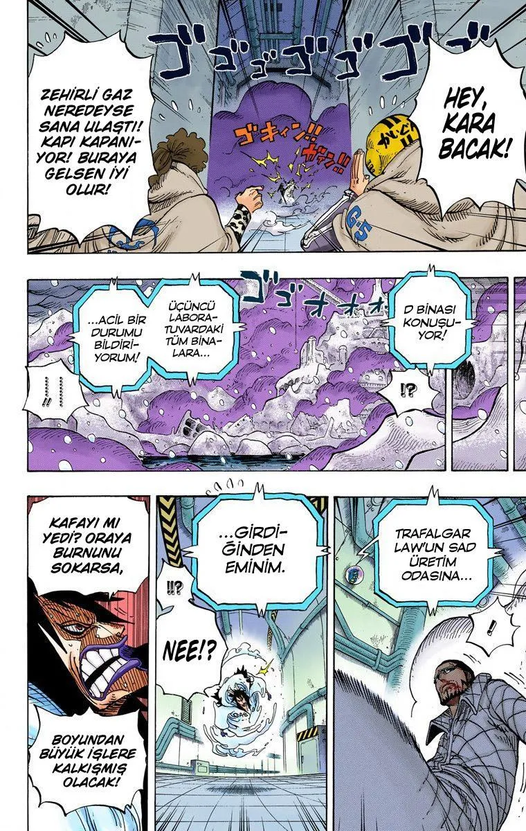 One Piece [Renkli] - Sayfa 19