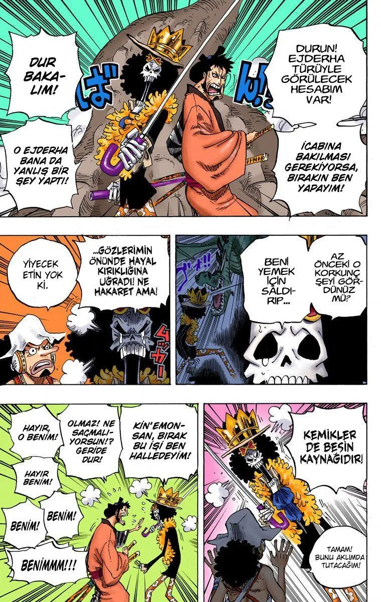 One Piece [Renkli] - Sayfa 13