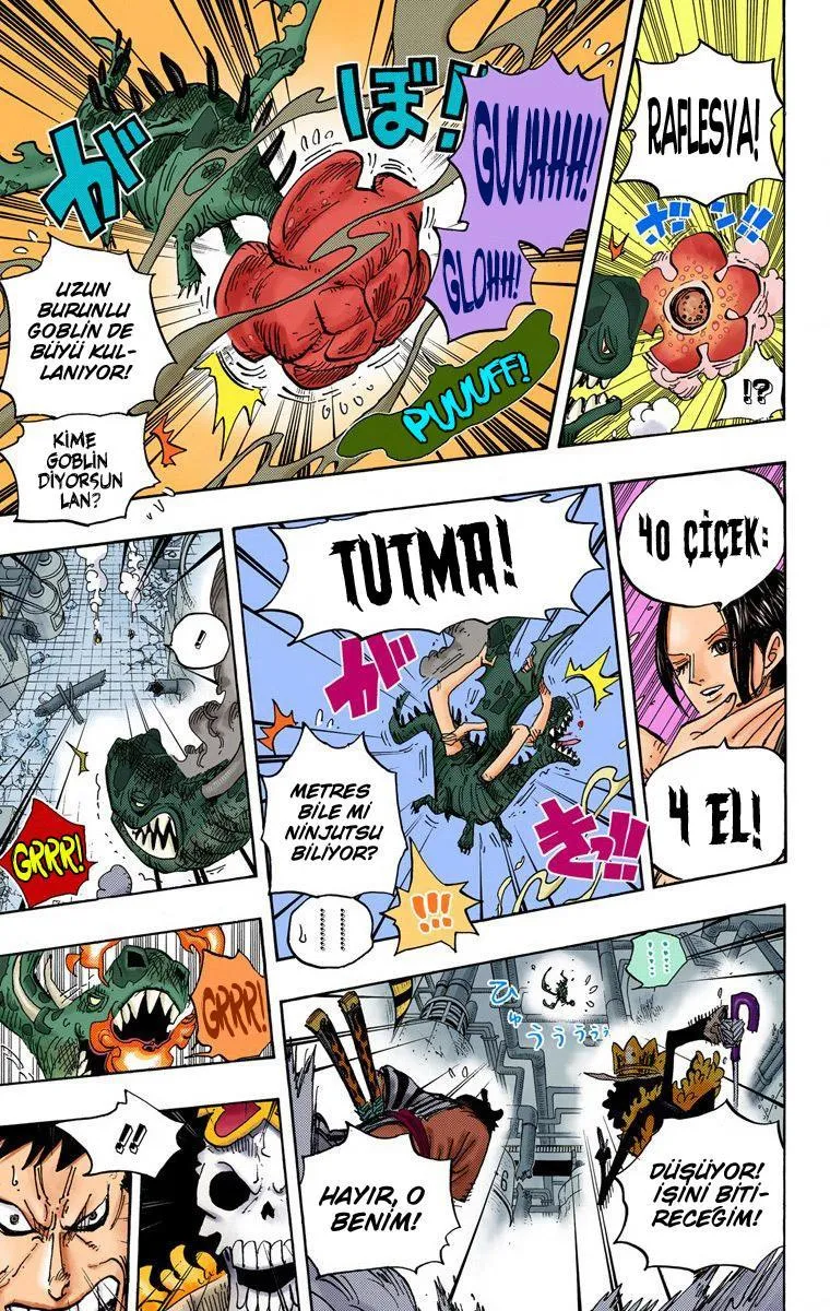 One Piece [Renkli] - Sayfa 15