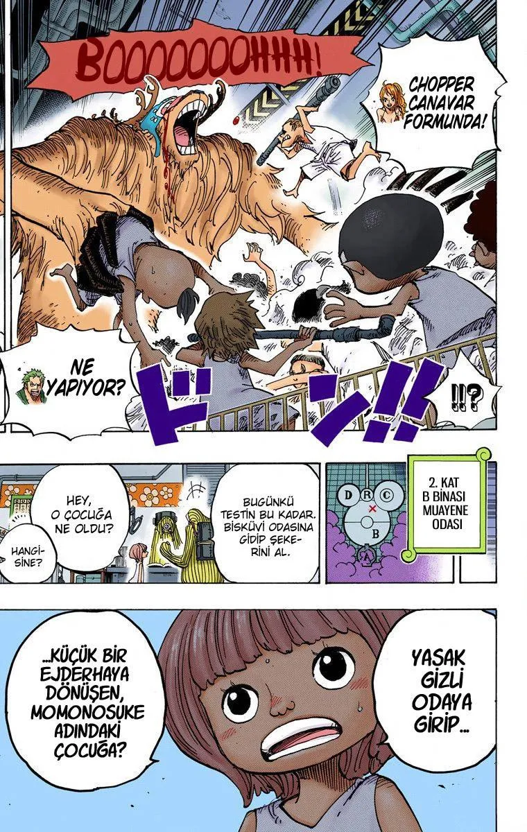 One Piece [Renkli] - Sayfa 19