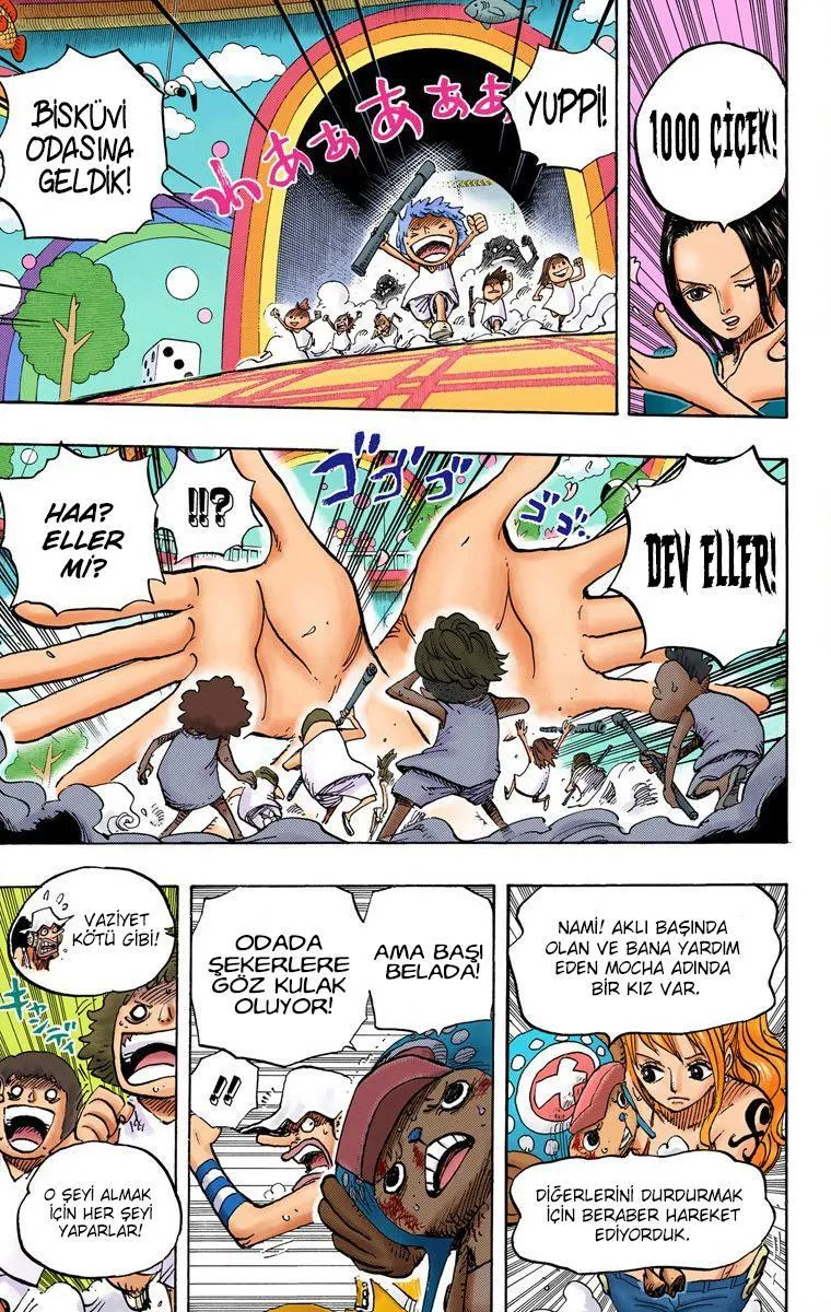 One Piece [Renkli] - Sayfa 12