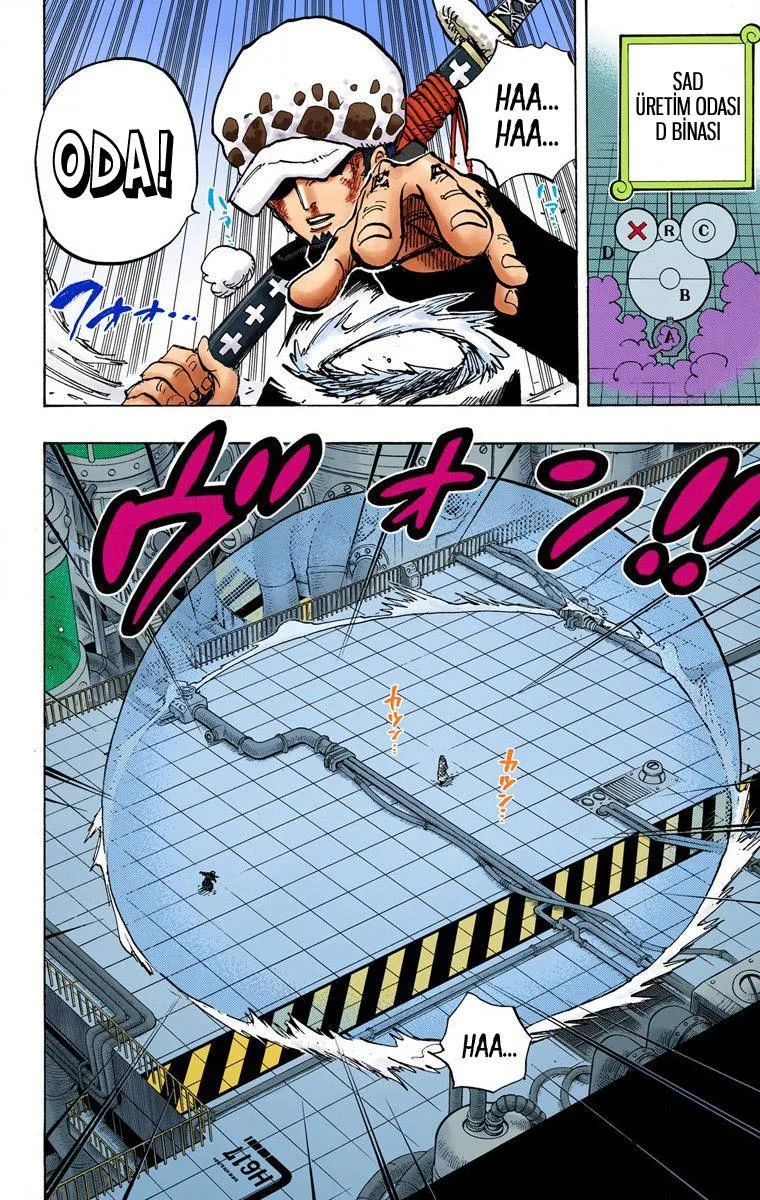 One Piece [Renkli] - Sayfa 15