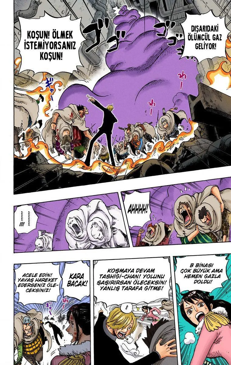 One Piece [Renkli] - Sayfa 11