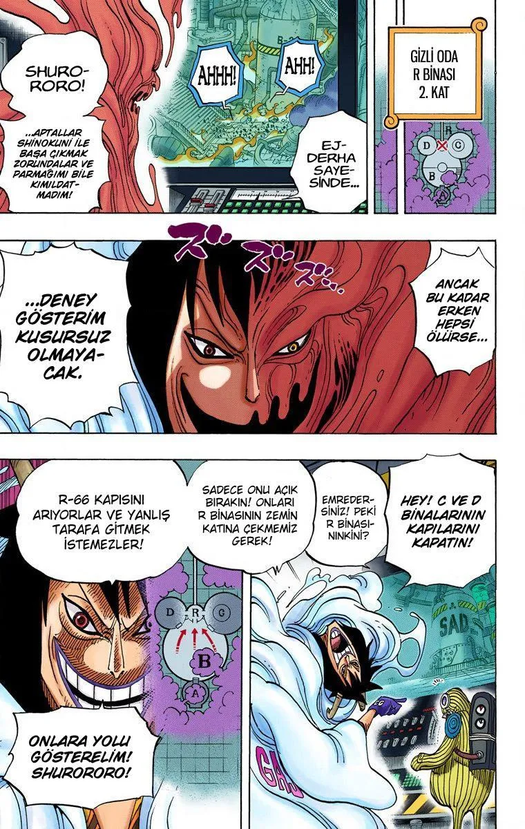 One Piece [Renkli] - Sayfa 12