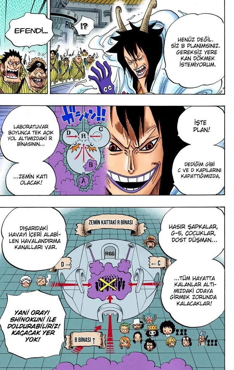 One Piece [Renkli] - Sayfa 14
