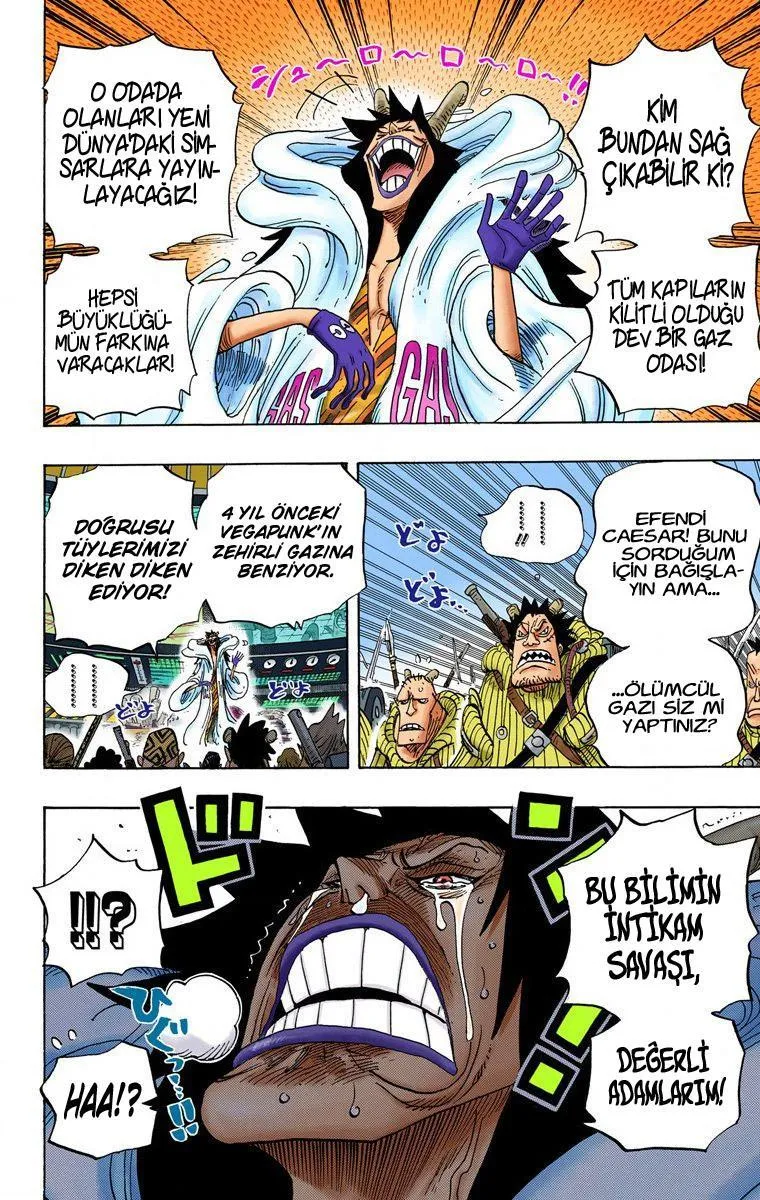 One Piece [Renkli] - Sayfa 15