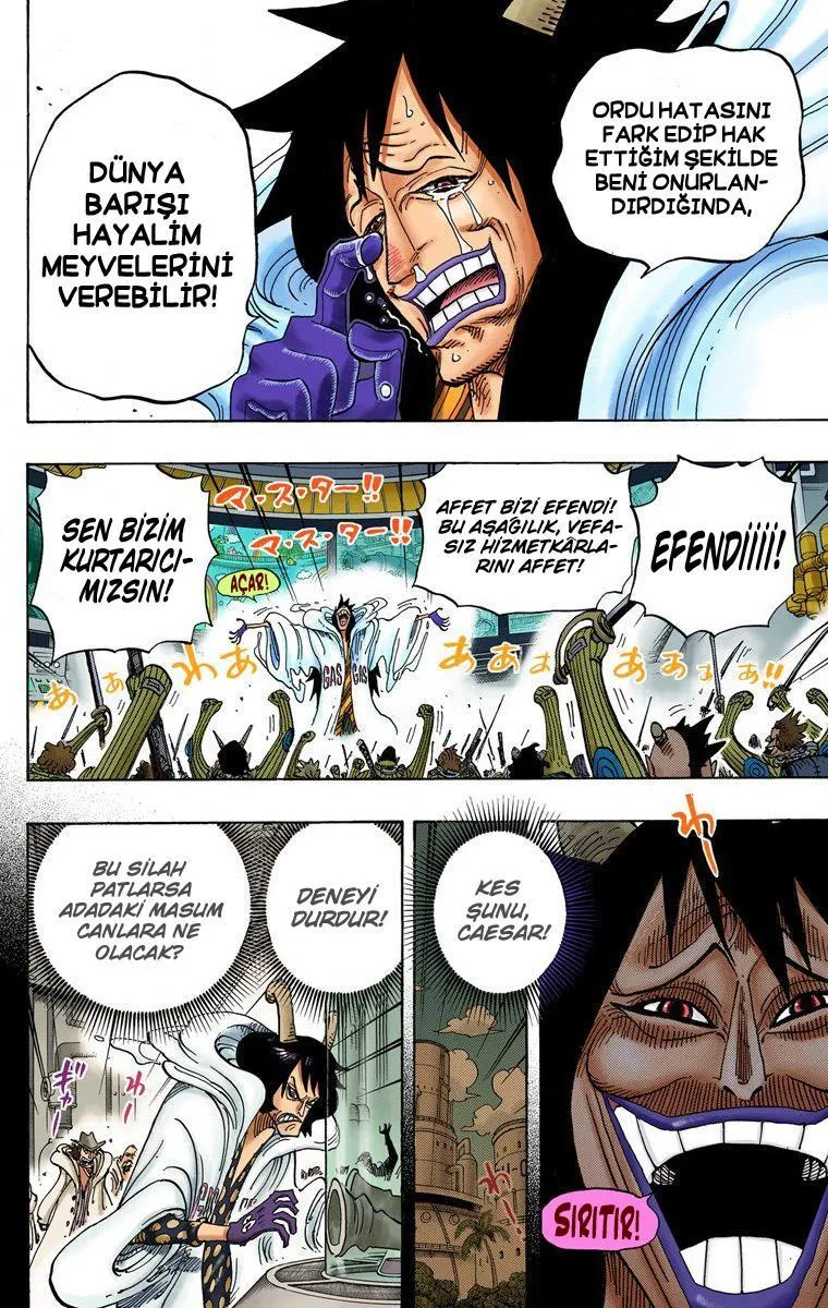 One Piece [Renkli] - Sayfa 17