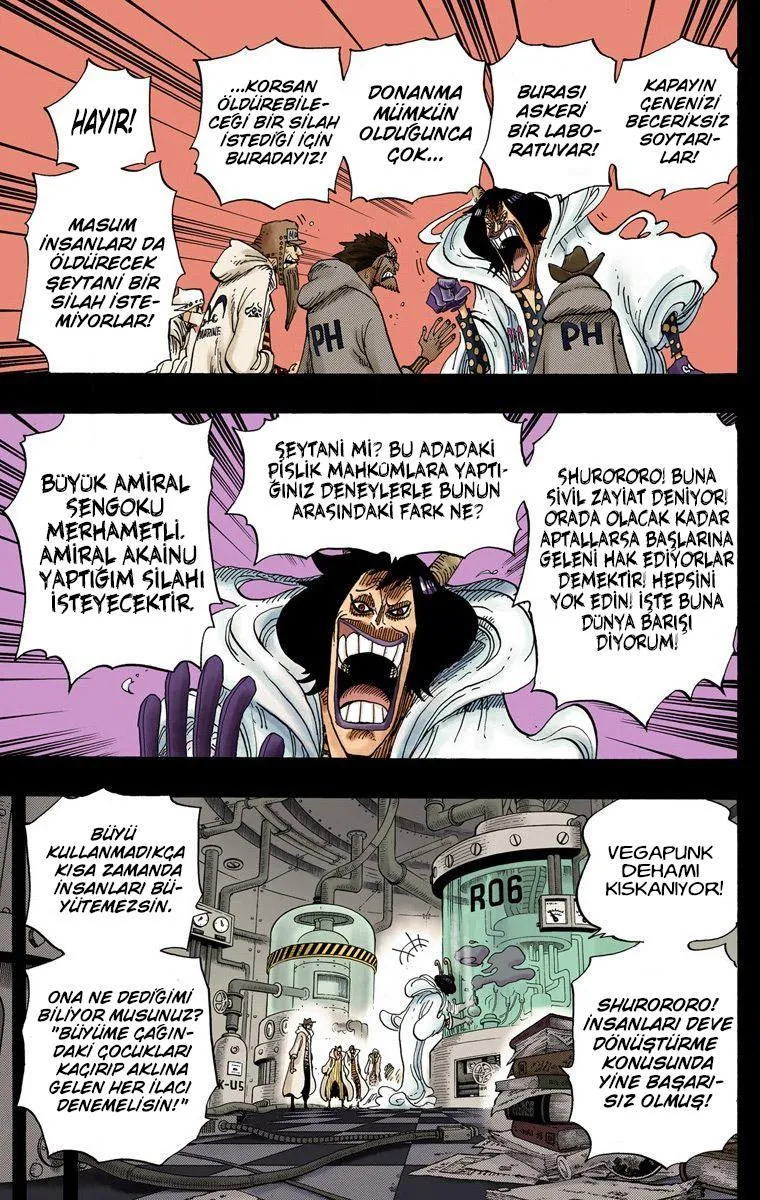 One Piece [Renkli] - Sayfa 18