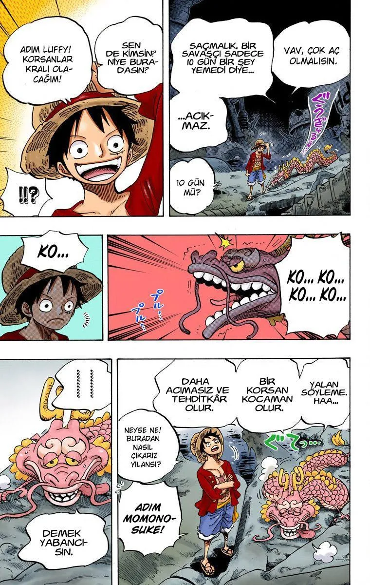 One Piece [Renkli] - Sayfa 5