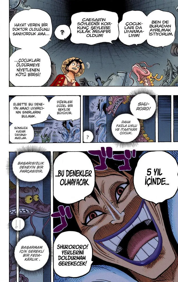 One Piece [Renkli] - Sayfa 12
