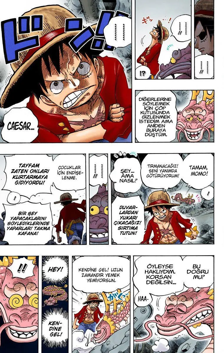 One Piece [Renkli] - Sayfa 13
