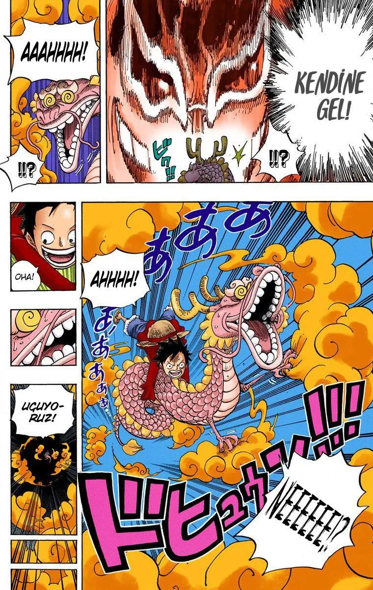 One Piece [Renkli] - Sayfa 14