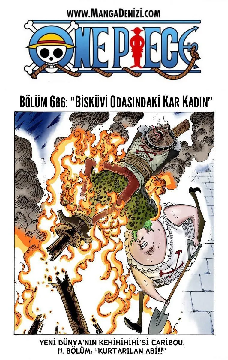 One Piece [Renkli] - Sayfa 2