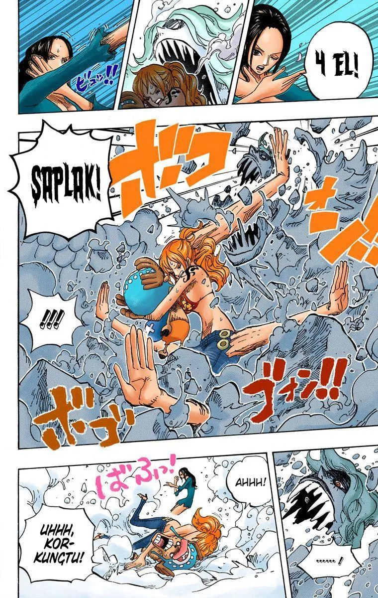 One Piece [Renkli] - Sayfa 13