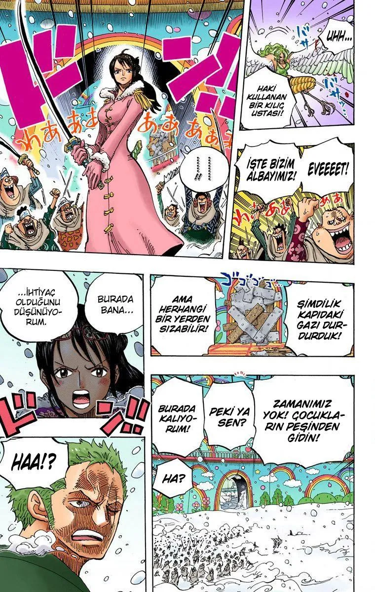 One Piece [Renkli] - Sayfa 20