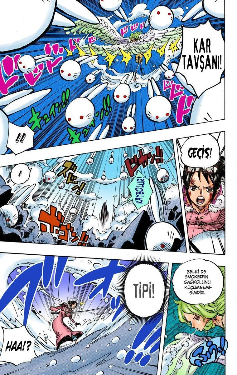 One Piece [Renkli] - Sayfa 10