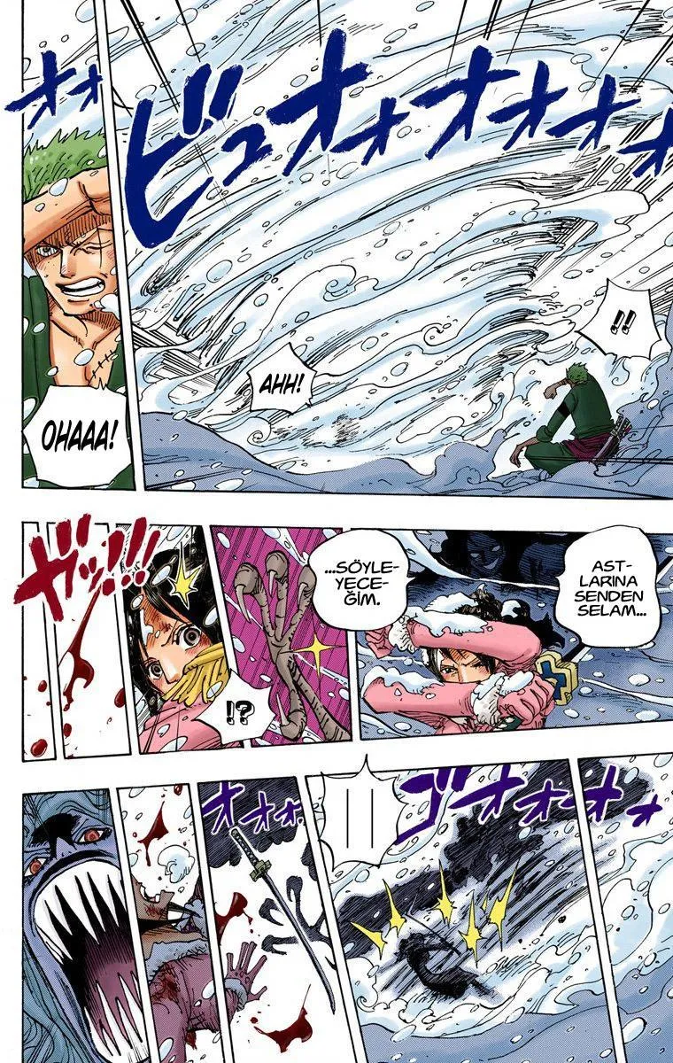 One Piece [Renkli] - Sayfa 11