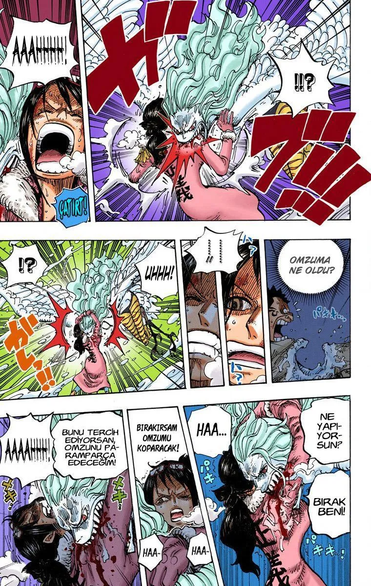 One Piece [Renkli] - Sayfa 12