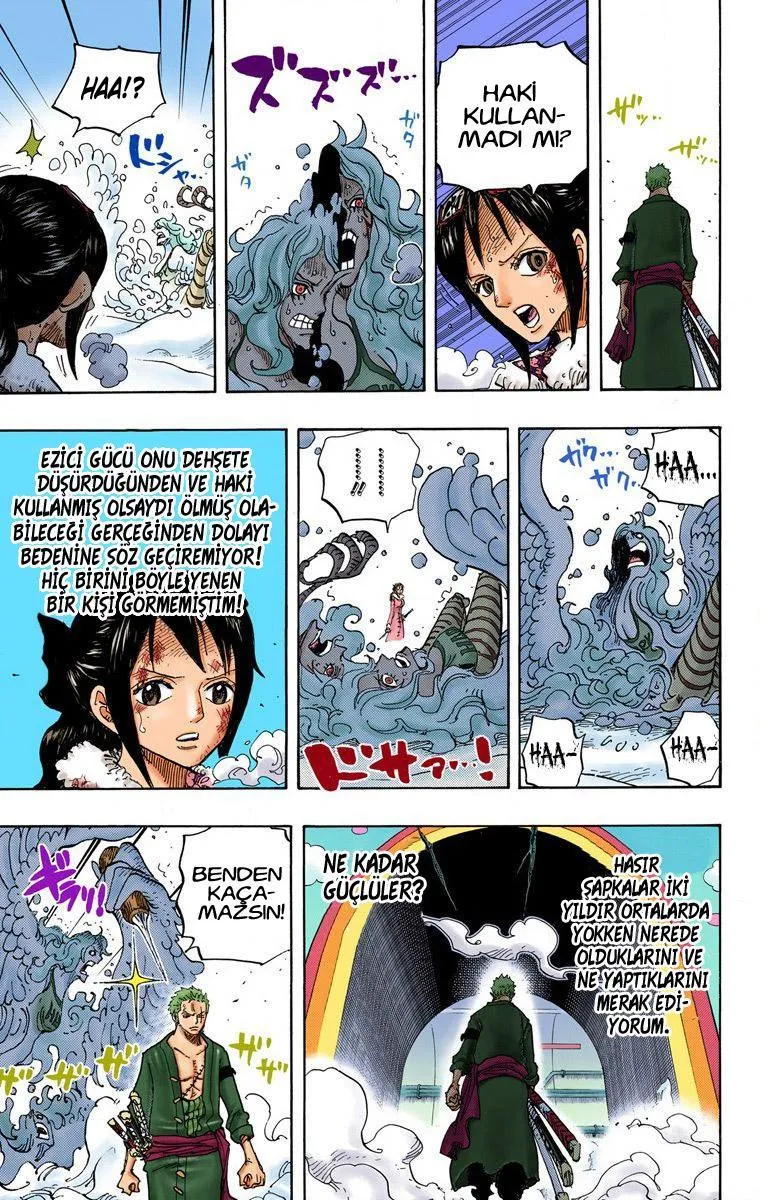 One Piece [Renkli] - Sayfa 17