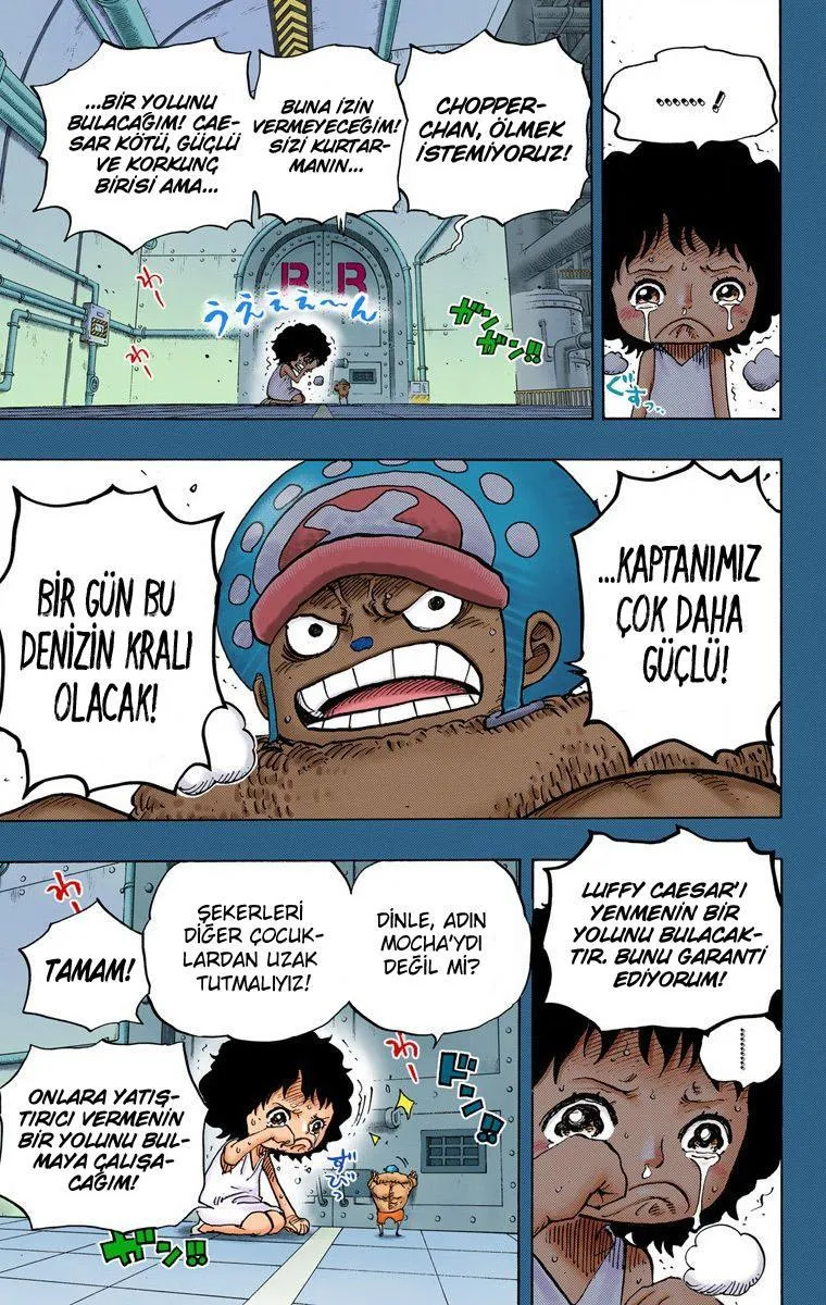 One Piece [Renkli] - Sayfa 14