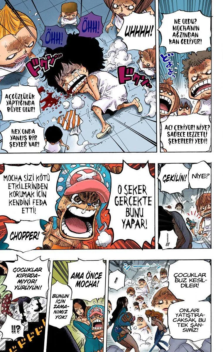 One Piece [Renkli] - Sayfa 16