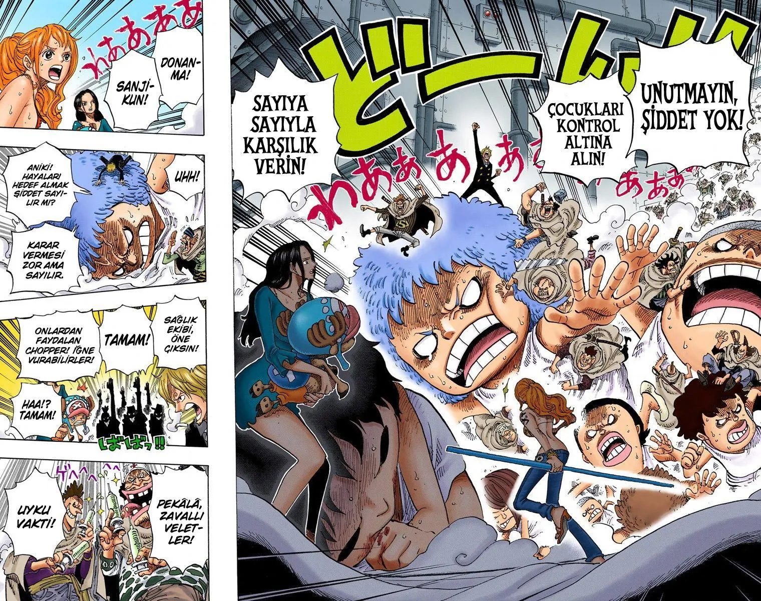 One Piece [Renkli] - Sayfa 17