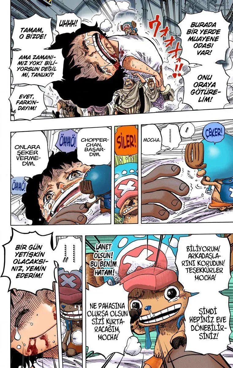 One Piece [Renkli] - Sayfa 18