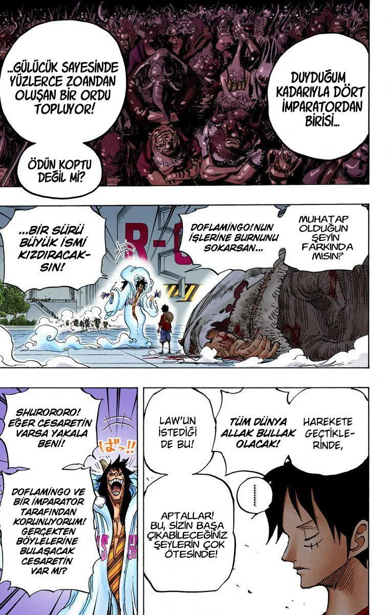 One Piece [Renkli] - Sayfa 17