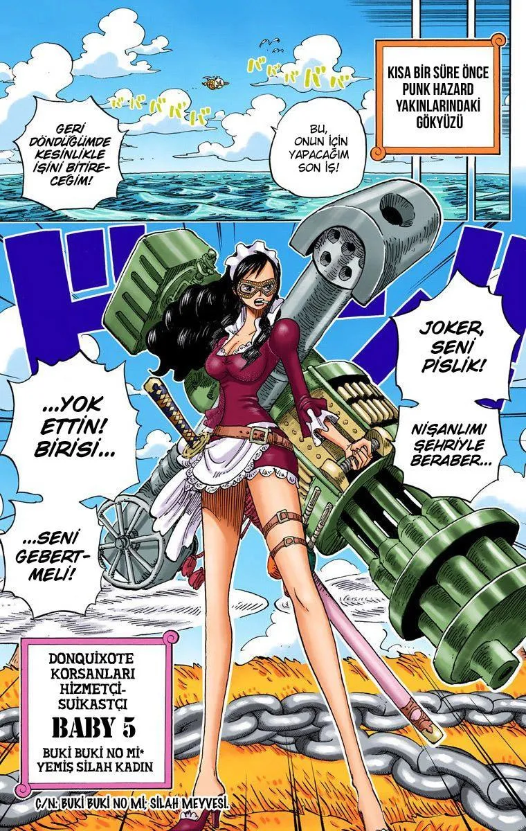 One Piece [Renkli] - Sayfa 12