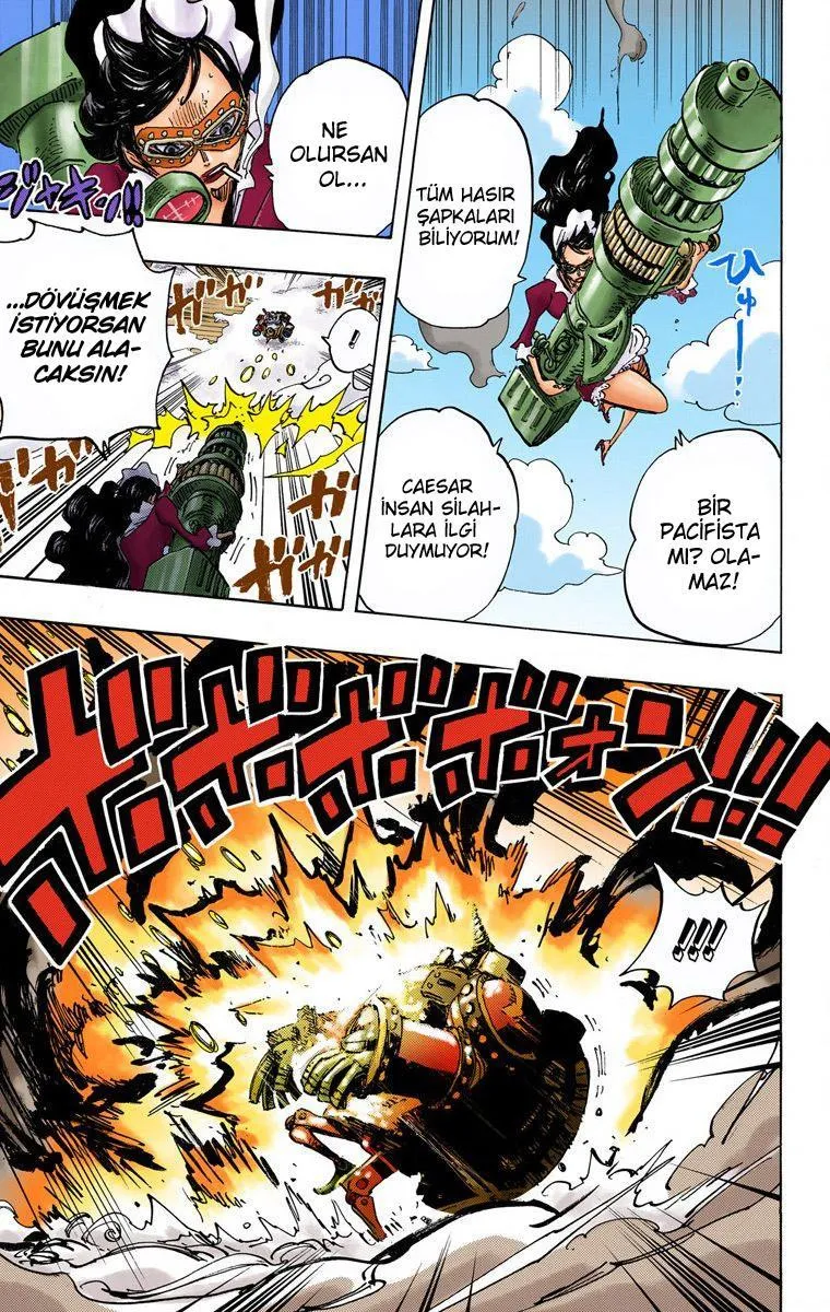 One Piece [Renkli] - Sayfa 5